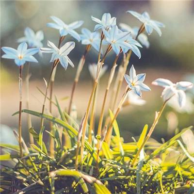 888电玩城游戏厅下载手机版