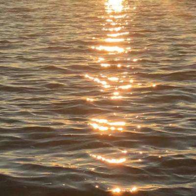 万博manbetx官方网站登录